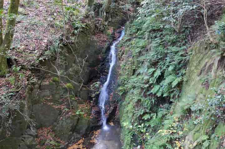 ���_��E�S�i